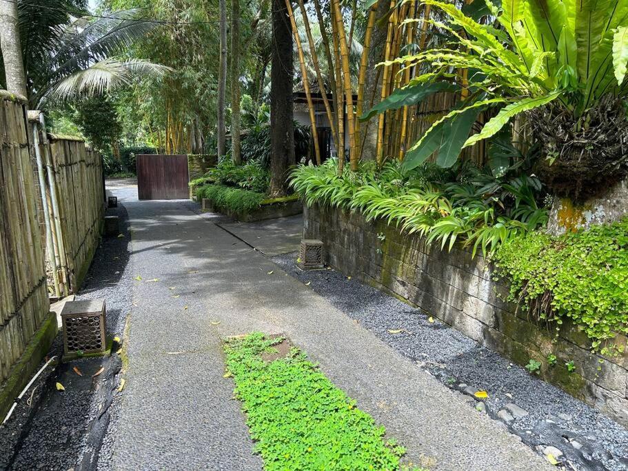 Villa Boho Bellissimo Ubud Exterior foto